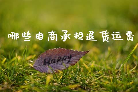 哪些电商承担退货运费_https://m.sdyuehang.cn_国际期货恒指直播间_第1张