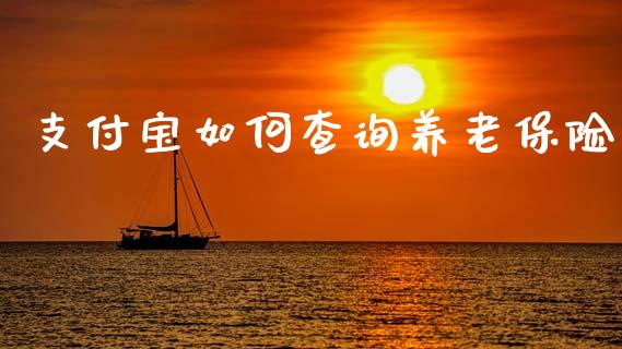 支付宝如何查询养老保险_https://m.sdyuehang.cn_纳指直播喊单_第1张