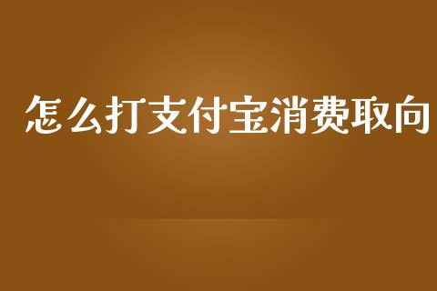 怎么打支付宝消费取向_https://m.sdyuehang.cn_德指直播室_第1张