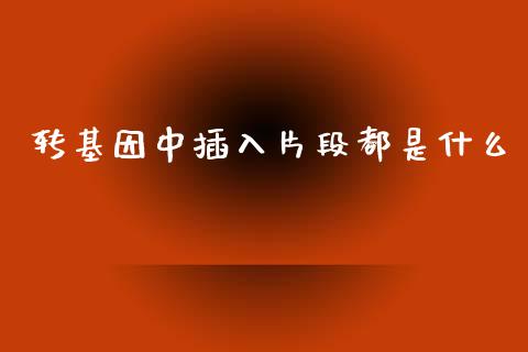 转基因中插入片段都是什么_https://m.sdyuehang.cn_德指直播室_第1张