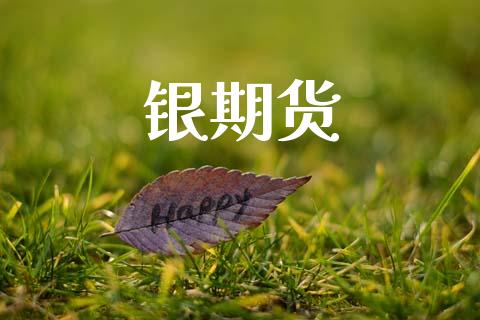 银期货_https://m.sdyuehang.cn_纳指直播喊单_第1张