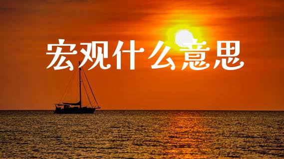 宏观什么意思_https://m.sdyuehang.cn_恒指直播_第1张