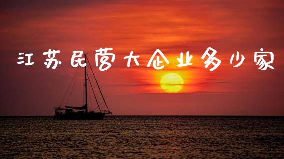 江苏民营大企业多少家_https://m.sdyuehang.cn_恒指直播_第1张