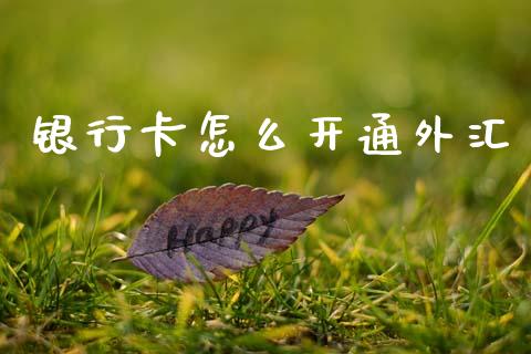 银行卡怎么开通外汇_https://m.sdyuehang.cn_恒指直播_第1张