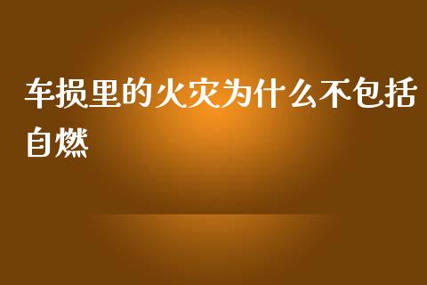 车损里的火灾为什么不包括自燃_https://m.sdyuehang.cn_德指直播室_第1张