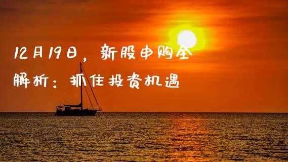 12月19日，新股申购全解析：抓住投资机遇_https://m.sdyuehang.cn_纳指直播喊单_第1张