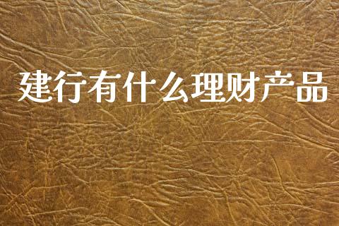 建行有什么理财产品_https://m.sdyuehang.cn_纳指直播喊单_第1张