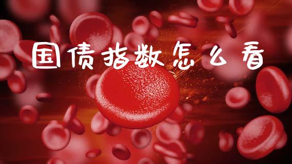 国债指数怎么看_https://m.sdyuehang.cn_纳指直播喊单_第1张