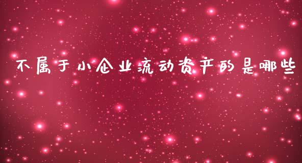 不属于小企业流动资产的是哪些_https://m.sdyuehang.cn_恒指直播_第1张