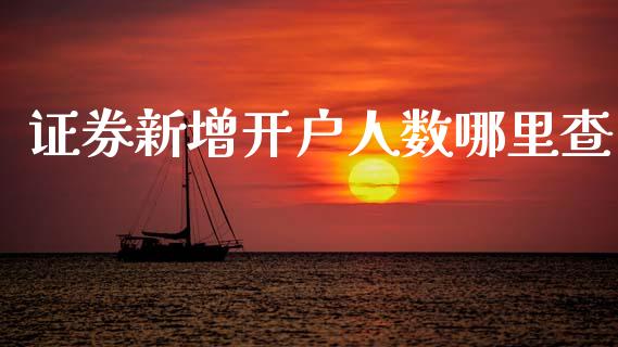 证券新增开户人数哪里查_https://m.sdyuehang.cn_德指直播室_第1张
