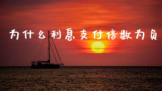 为什么利息支付倍数为负_https://m.sdyuehang.cn_纳指直播喊单_第1张