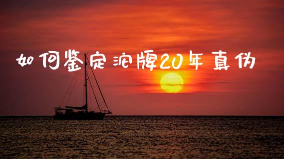 如何鉴定沱牌20年真伪_https://m.sdyuehang.cn_国际期货恒指直播间_第1张