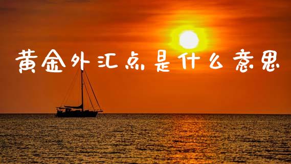 黄金外汇点是什么意思_https://m.sdyuehang.cn_德指直播室_第1张