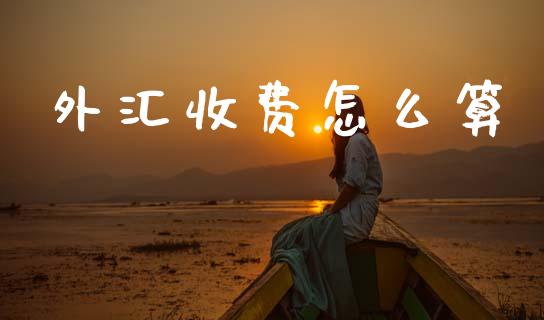 外汇收费怎么算_https://m.sdyuehang.cn_恒指直播_第1张