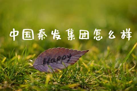 中国秦发集团怎么样_https://m.sdyuehang.cn_德指直播室_第1张