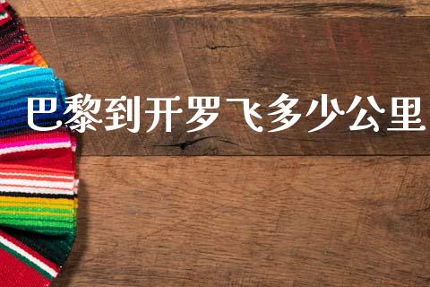 巴黎到开罗飞多少公里_https://m.sdyuehang.cn_恒指直播_第1张