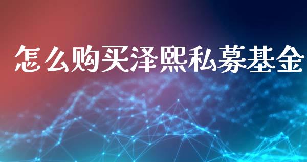 怎么购买泽熙私募基金_https://m.sdyuehang.cn_纳指直播喊单_第1张
