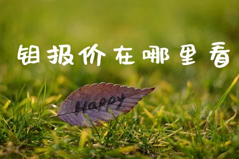 钼报价在哪里看_https://m.sdyuehang.cn_恒指直播_第1张