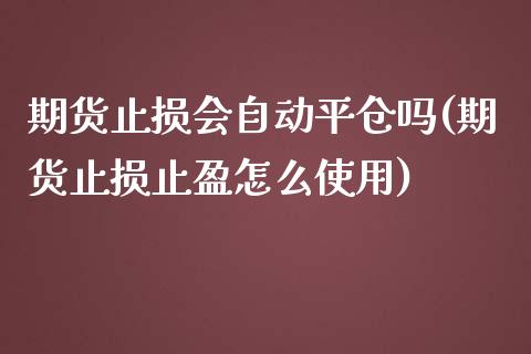 期货止损会自动平仓吗(期货止损止盈怎么使用)_https://m.sdyuehang.cn_纳指直播喊单_第1张
