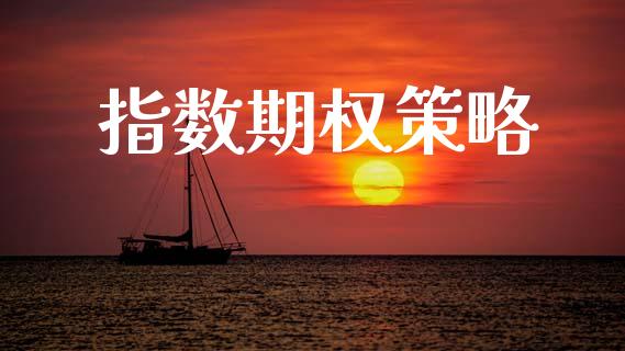 指数期权策略_https://m.sdyuehang.cn_纳指直播喊单_第1张