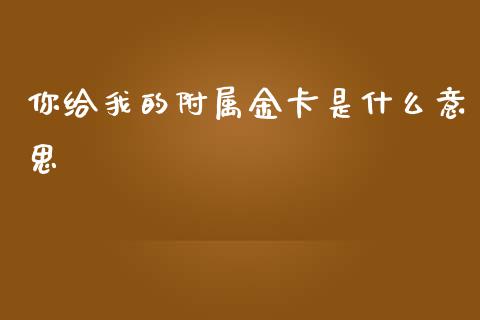 你给我的附属金卡是什么意思_https://m.sdyuehang.cn_恒指直播_第1张