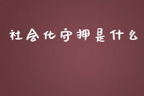 社会化守押是什么_https://m.sdyuehang.cn_纳指直播喊单_第1张
