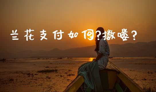 兰花支付如何?擞喽?_https://m.sdyuehang.cn_国际期货恒指直播间_第1张
