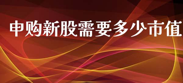 申购新股需要多少市值_https://m.sdyuehang.cn_恒指直播_第1张