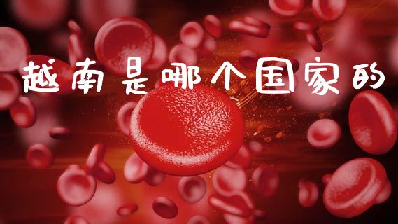 越南是哪个国家的_https://m.sdyuehang.cn_恒指直播_第1张
