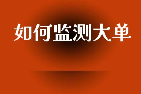 如何监测大单_https://m.sdyuehang.cn_恒指直播_第1张