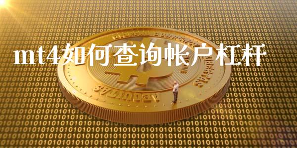 mt4如何查询帐户杠杆_https://m.sdyuehang.cn_恒指直播_第1张