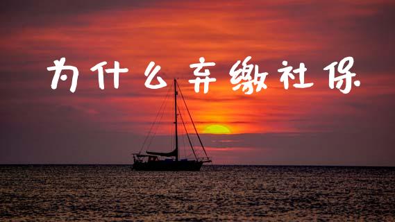 为什么弃缴社保_https://m.sdyuehang.cn_国际期货恒指直播间_第1张