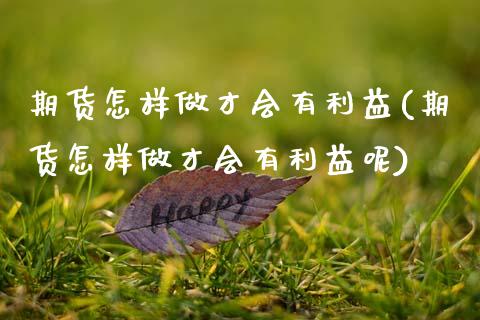 期货怎样做才会有利益(期货怎样做才会有利益呢)_https://m.sdyuehang.cn_恒指直播_第1张
