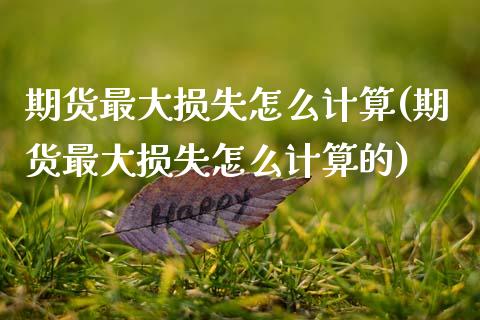 期货最大损失怎么计算(期货最大损失怎么计算的)_https://m.sdyuehang.cn_恒指直播_第1张