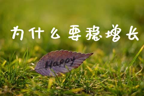 为什么要稳增长_https://m.sdyuehang.cn_国际期货恒指直播间_第1张