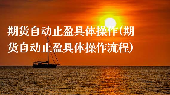 期货自动止盈具体操作(期货自动止盈具体操作流程)_https://m.sdyuehang.cn_德指直播室_第1张