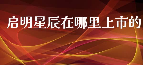 启明星辰在哪里上市的_https://m.sdyuehang.cn_国际期货恒指直播间_第1张