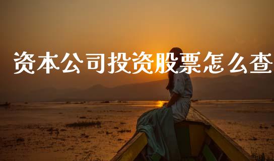 资本公司投资股票怎么查_https://m.sdyuehang.cn_恒指直播_第1张