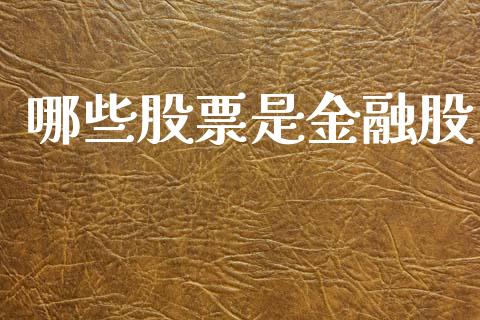 哪些股票是金融股_https://m.sdyuehang.cn_恒指直播_第1张