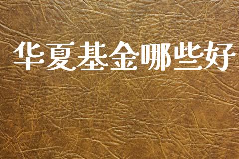 华夏基金哪些好_https://m.sdyuehang.cn_恒指直播_第1张