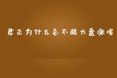 君正为什么总不跟大盘涨呢_https://m.sdyuehang.cn_恒指直播_第1张