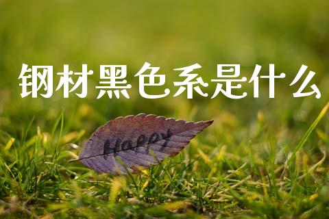 钢材黑色系是什么_https://m.sdyuehang.cn_恒指直播_第1张