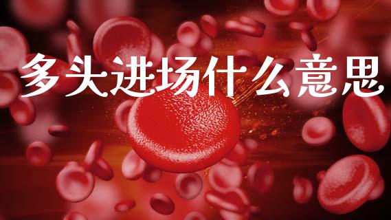 多头进场什么意思_https://m.sdyuehang.cn_纳指直播喊单_第1张