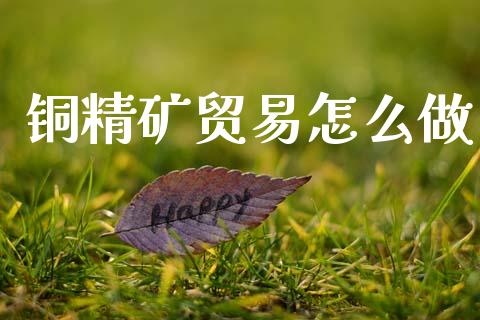 铜精矿贸易怎么做_https://m.sdyuehang.cn_国际期货恒指直播间_第1张