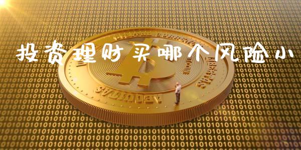 投资理财买哪个风险小_https://m.sdyuehang.cn_纳指直播喊单_第1张