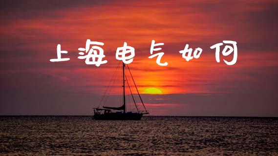 上海电气如何_https://m.sdyuehang.cn_纳指直播喊单_第1张