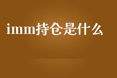 imm持仓是什么_https://m.sdyuehang.cn_国际期货恒指直播间_第1张