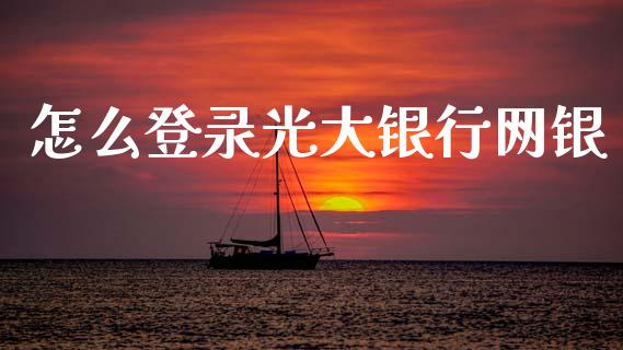 怎么登录光大银行网银_https://m.sdyuehang.cn_德指直播室_第1张
