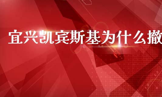 宜兴凯宾斯基为什么撤_https://m.sdyuehang.cn_国际期货恒指直播间_第1张