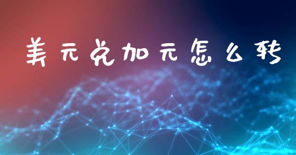 美元兑加元怎么转_https://m.sdyuehang.cn_恒指直播_第1张